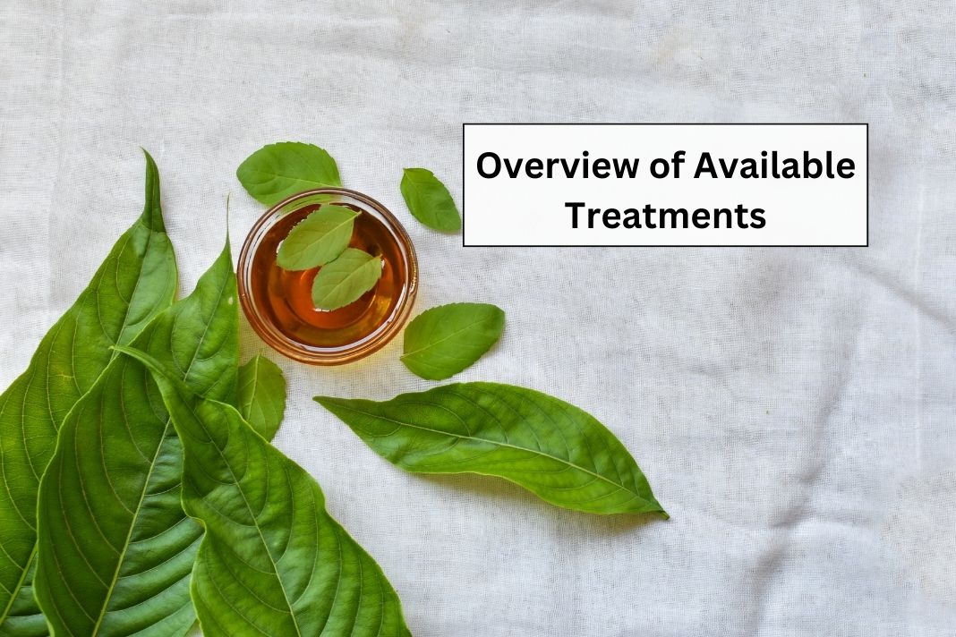 Ayurvedic Treatment in Hisar (2025)