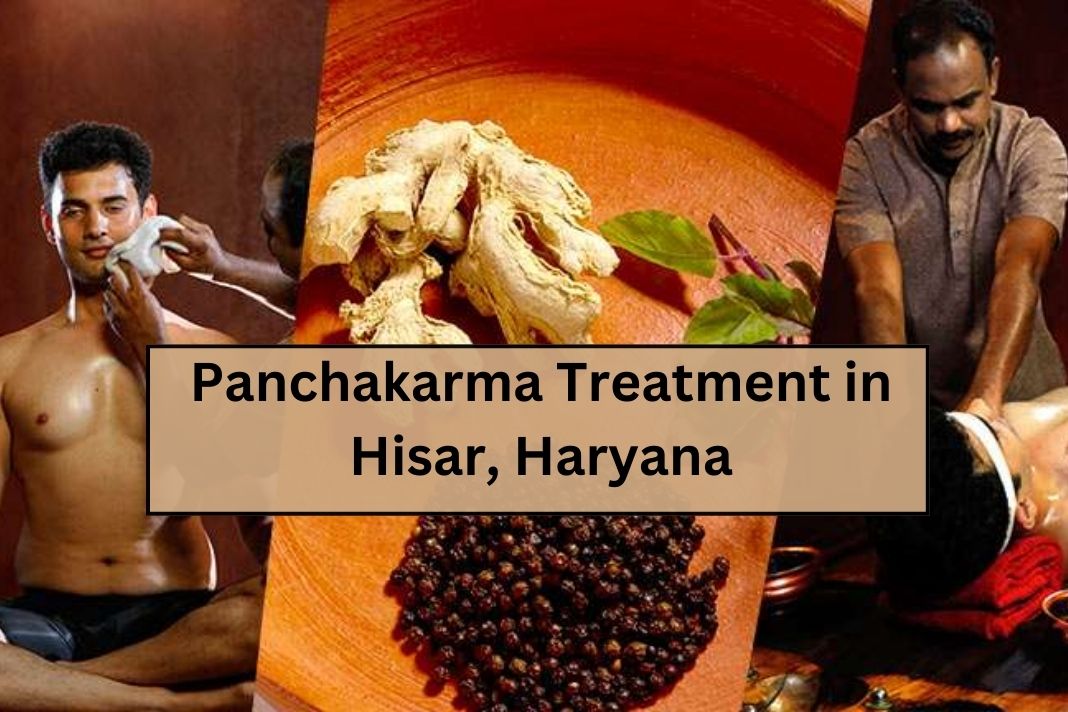 Panchakarma Treatment in Hisar, Haryana: A Complete Guide to Ayurvedic Detoxification