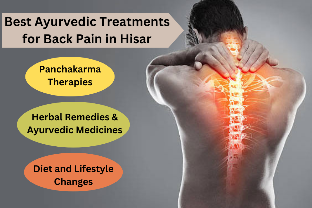 Best Back Pain Treatment Ayurvedic Doctor in Hisar